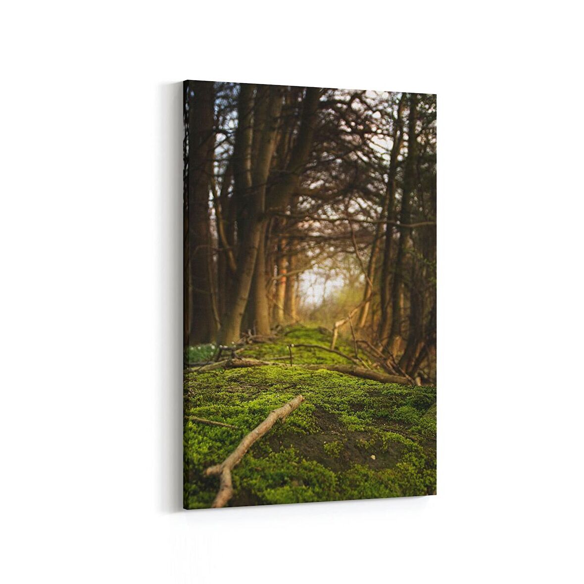 Olla 14005D Doğa / Manzara Görseli Dikey Kanvas Tablo (Ölçü: 70X105)