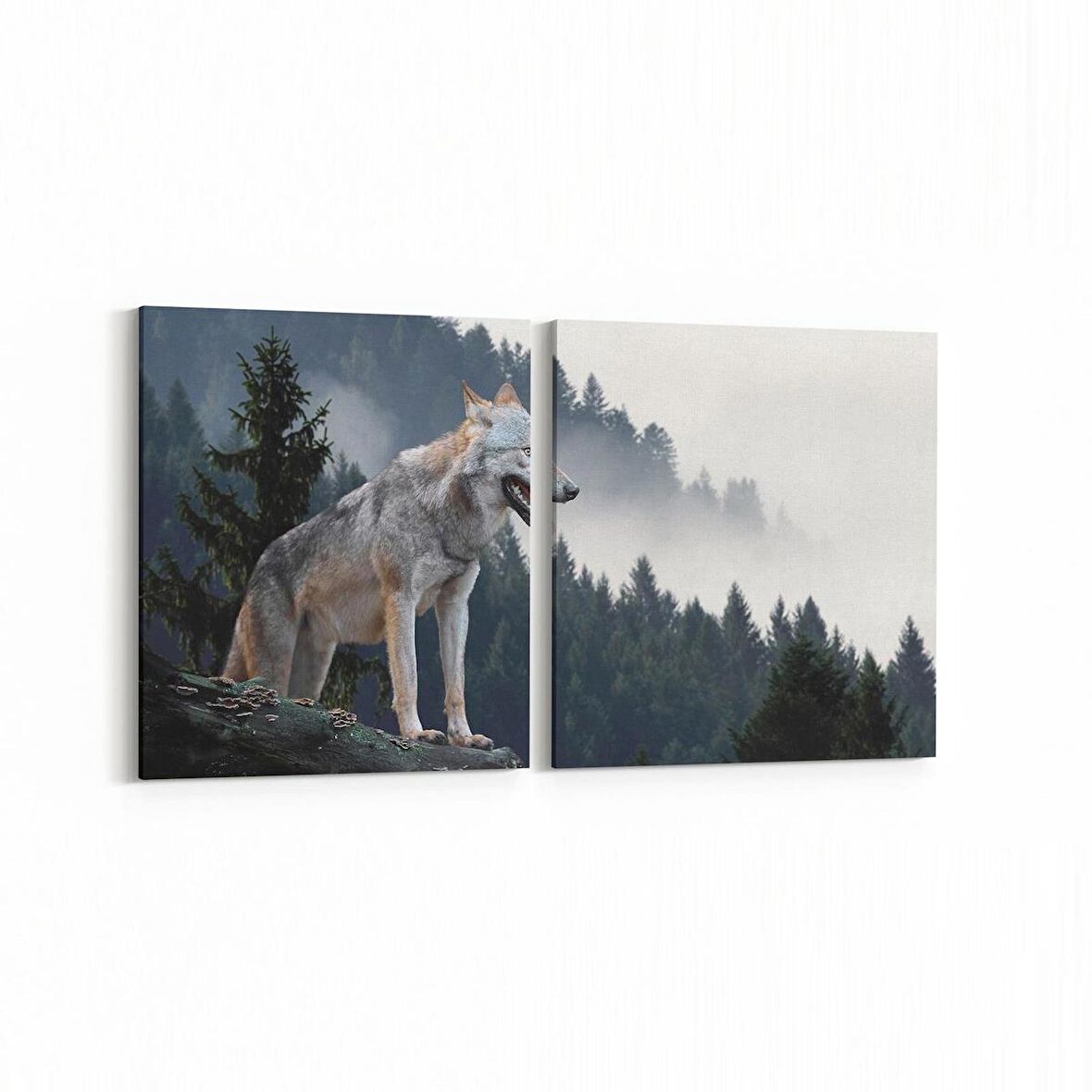 Olla 12675K2Y Hayvanlar Alemi Görseli Kare 2'li Yatay Kanvas Tablo (Ölçü: 125X60)