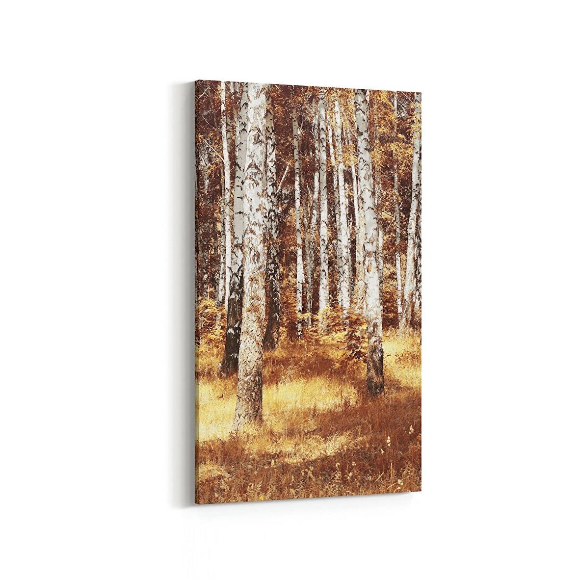 Olla 14095DD Doğa / Manzara Görseli Dikey Dar Kanvas Tablo (Ölçü: 30X60)