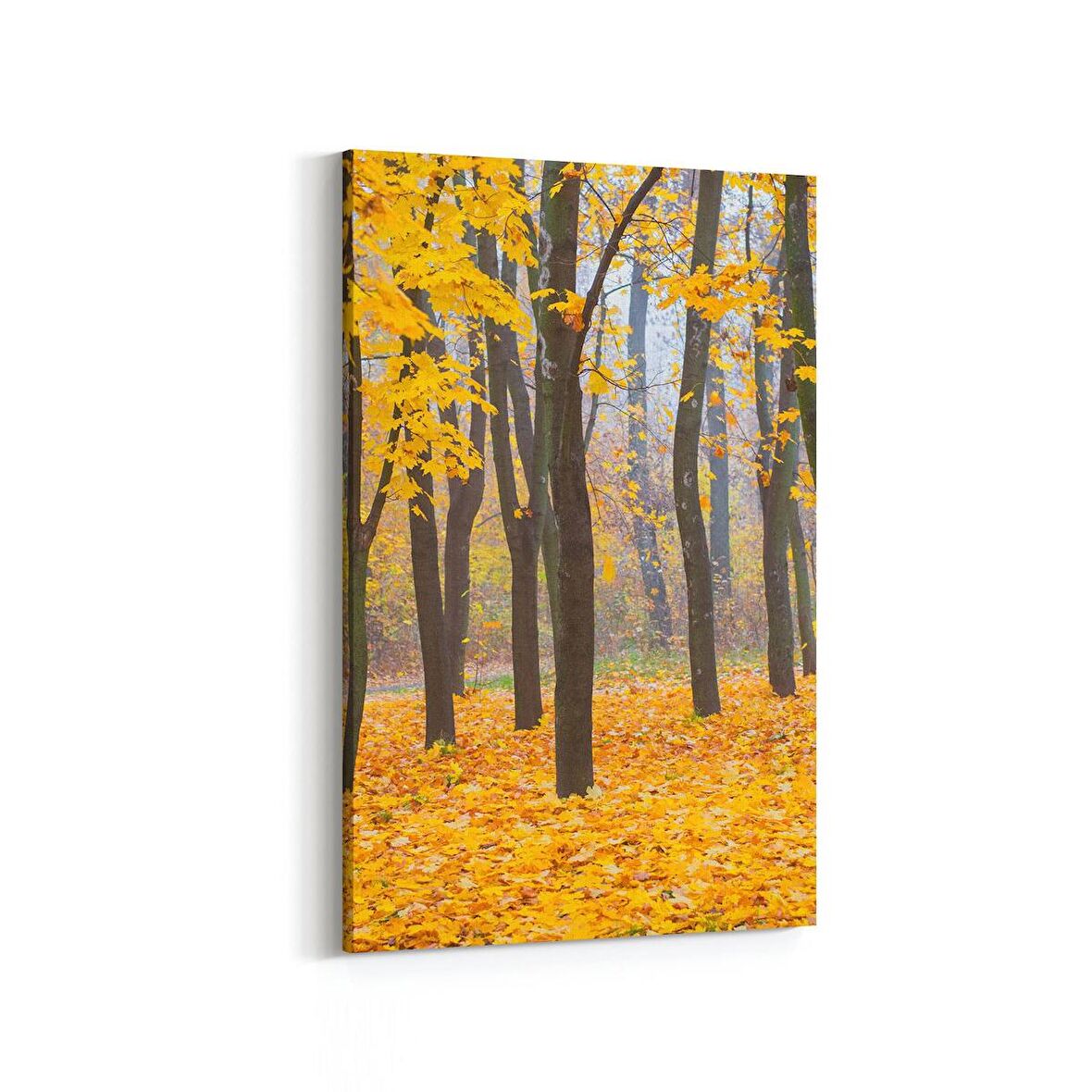 Olla 13596D Doğa / Manzara Görseli Dikey Kanvas Tablo (Ölçü: 60X90)