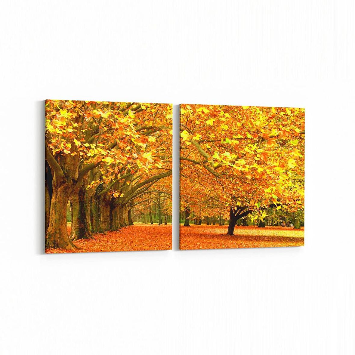 Olla 14088K2Y Doğa / Manzara Görseli Kare 2'li Yatay Kanvas Tablo (Ölçü: 125X60)