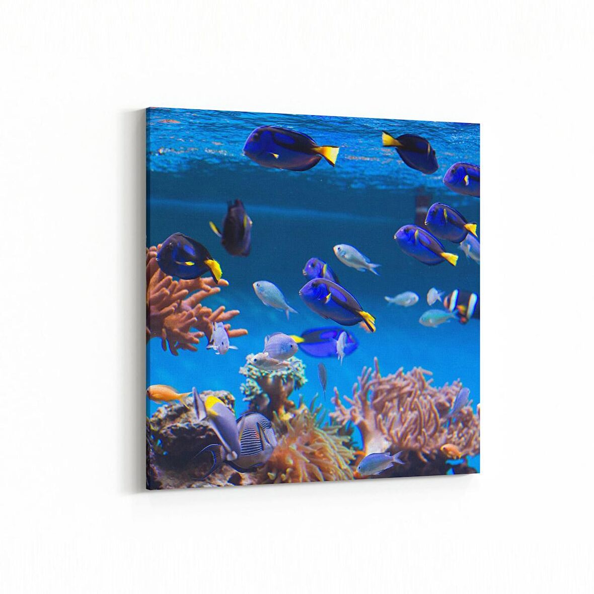 Olla 12139K Akvaryum / Balık Görseli Kare Kanvas Tablo (Ölçü: 25X25)