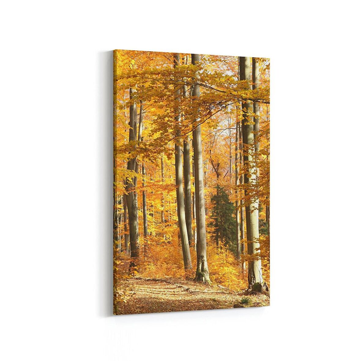 Olla 14576D Doğa / Manzara Görseli Dikey Kanvas Tablo (Ölçü: 60X90)