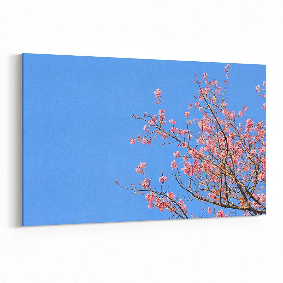 Olla 10648Y Ağaç Görseli Yatay Kanvas Tablo (Ölçü: 150X100)