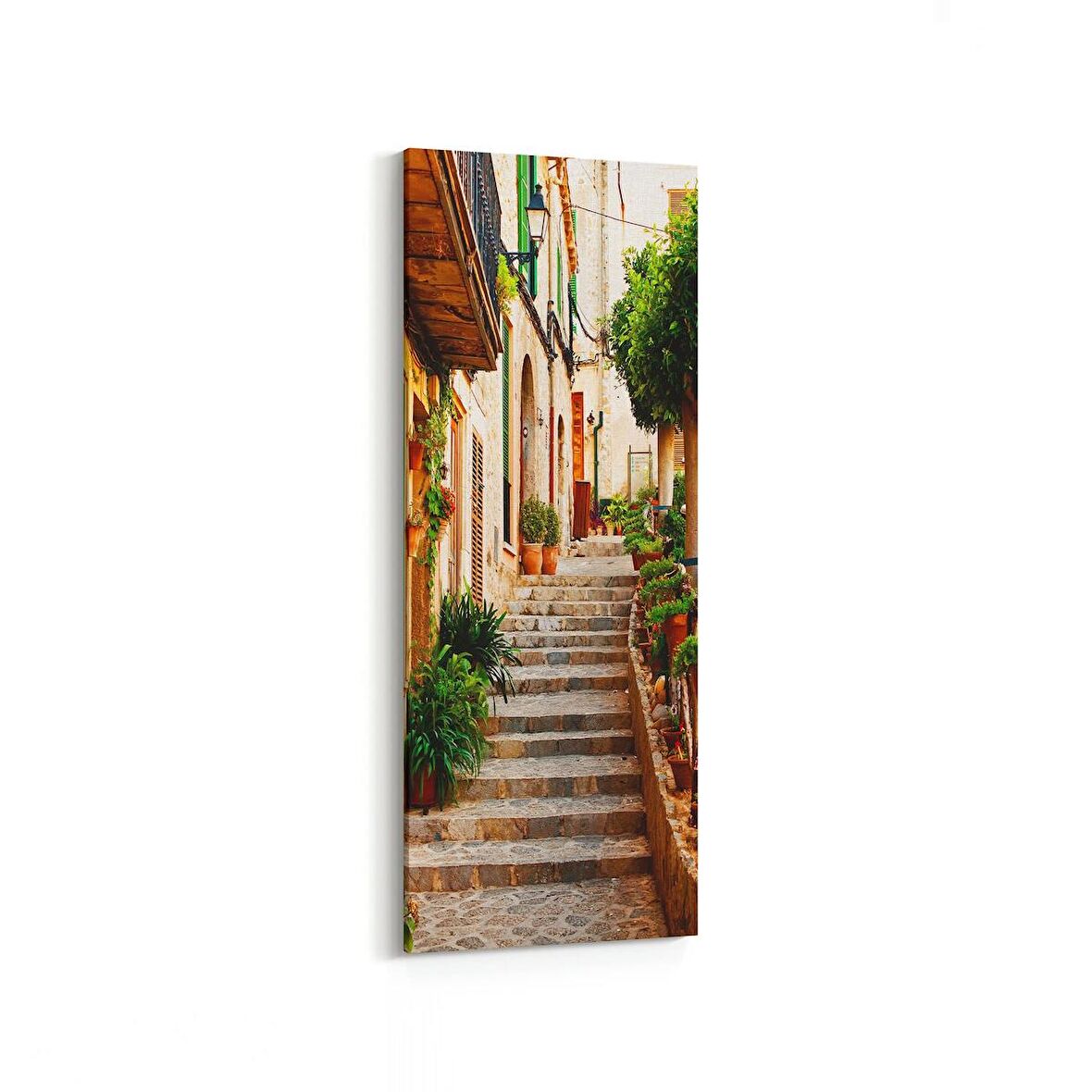 Olla 18256DI Yapı Görseli Dikey İnce Kanvas Tablo (Ölçü: 40X120)