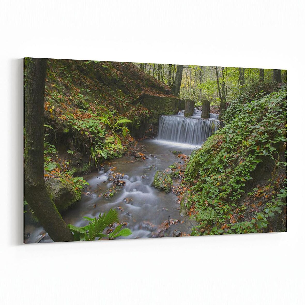 Olla 13919Y Doğa / Manzara Görseli Yatay Kanvas Tablo (Ölçü: 70X50)