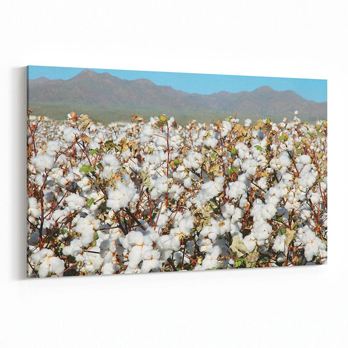 Olla 13562Y Doğa / Manzara Görseli Yatay Kanvas Tablo (Ölçü: 30X20)