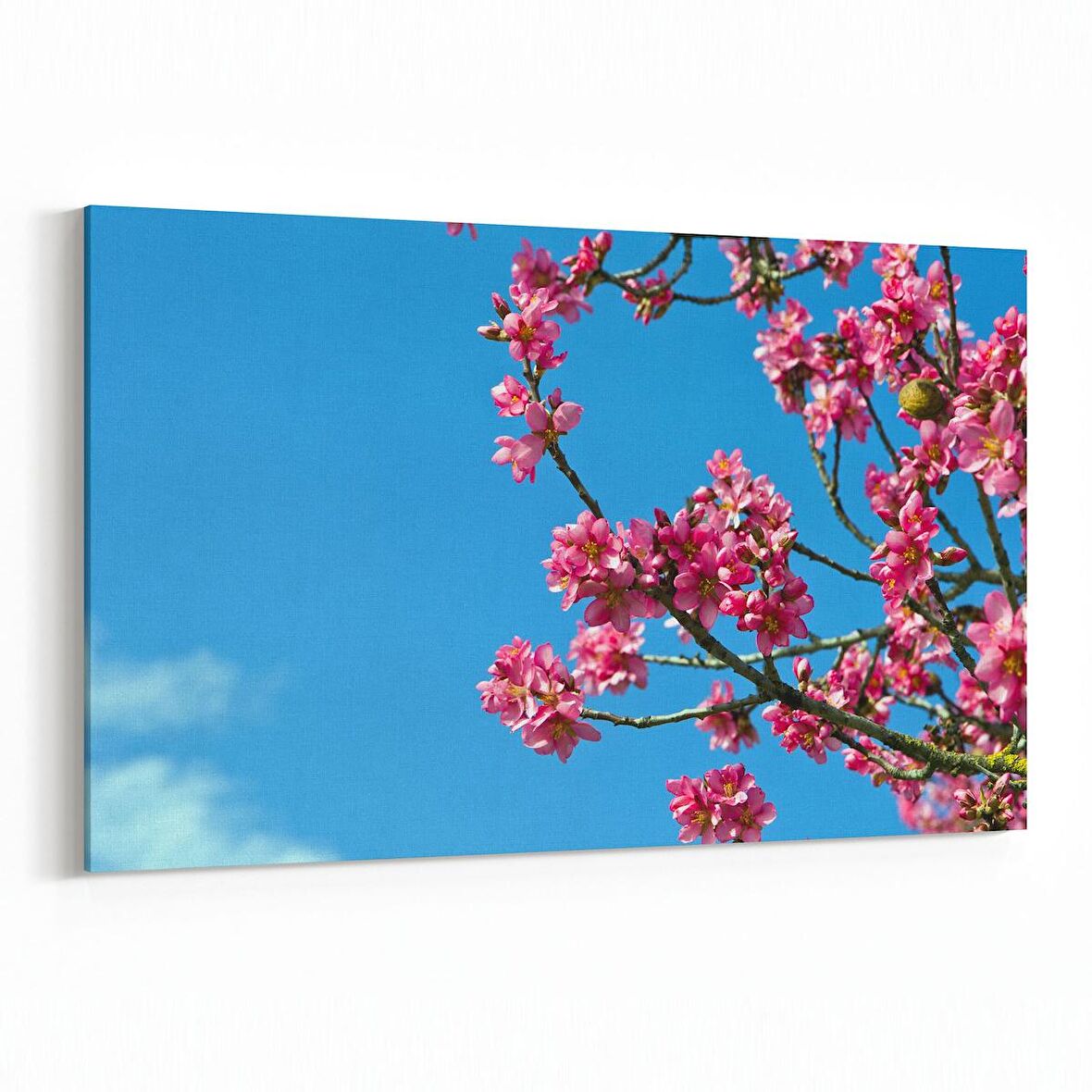 Olla 10653Y Ağaç Görseli Yatay Kanvas Tablo (Ölçü: 30X20)