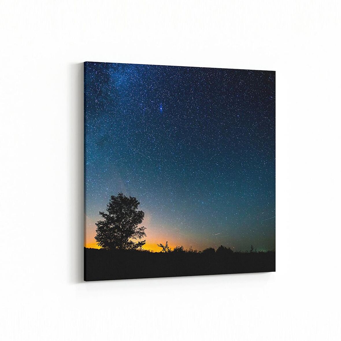 Olla 13731K Doğa / Manzara Görseli Kare Kanvas Tablo (Ölçü: 30X30)