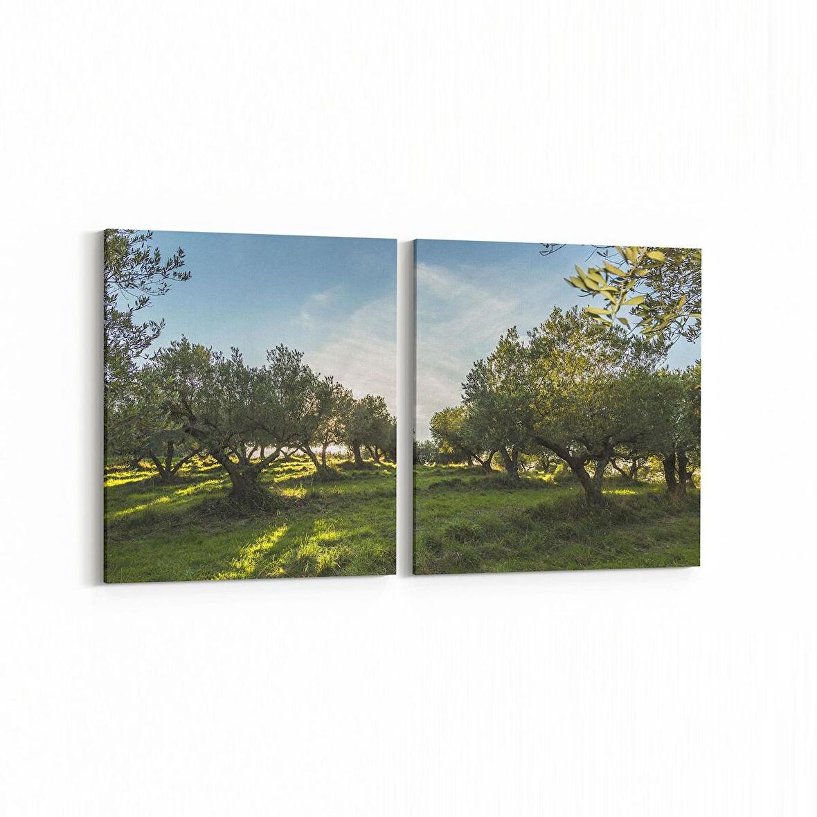 Olla 14244K2Y Doğa / Manzara Görseli Kare 2'li Yatay Kanvas Tablo (Ölçü: 65X30)