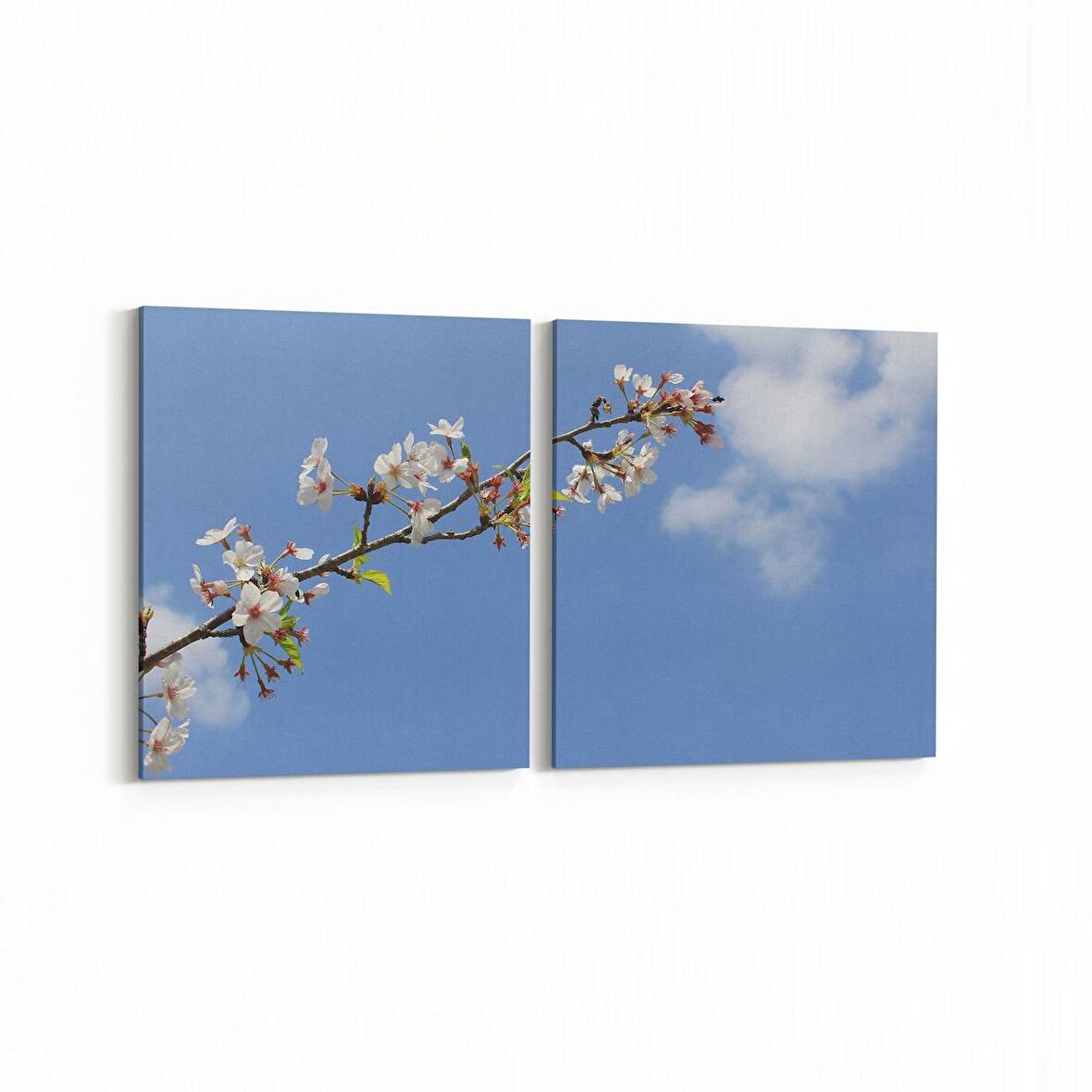 Olla 10960K2Y Ağaç Görseli Kare 2'li Yatay Kanvas Tablo (Ölçü: 145X70)