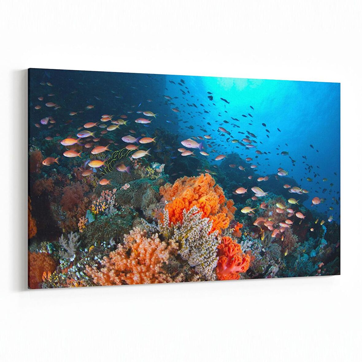 Olla 12079Y Akvaryum / Balık Görseli Yatay Kanvas Tablo (Ölçü: 120X80)