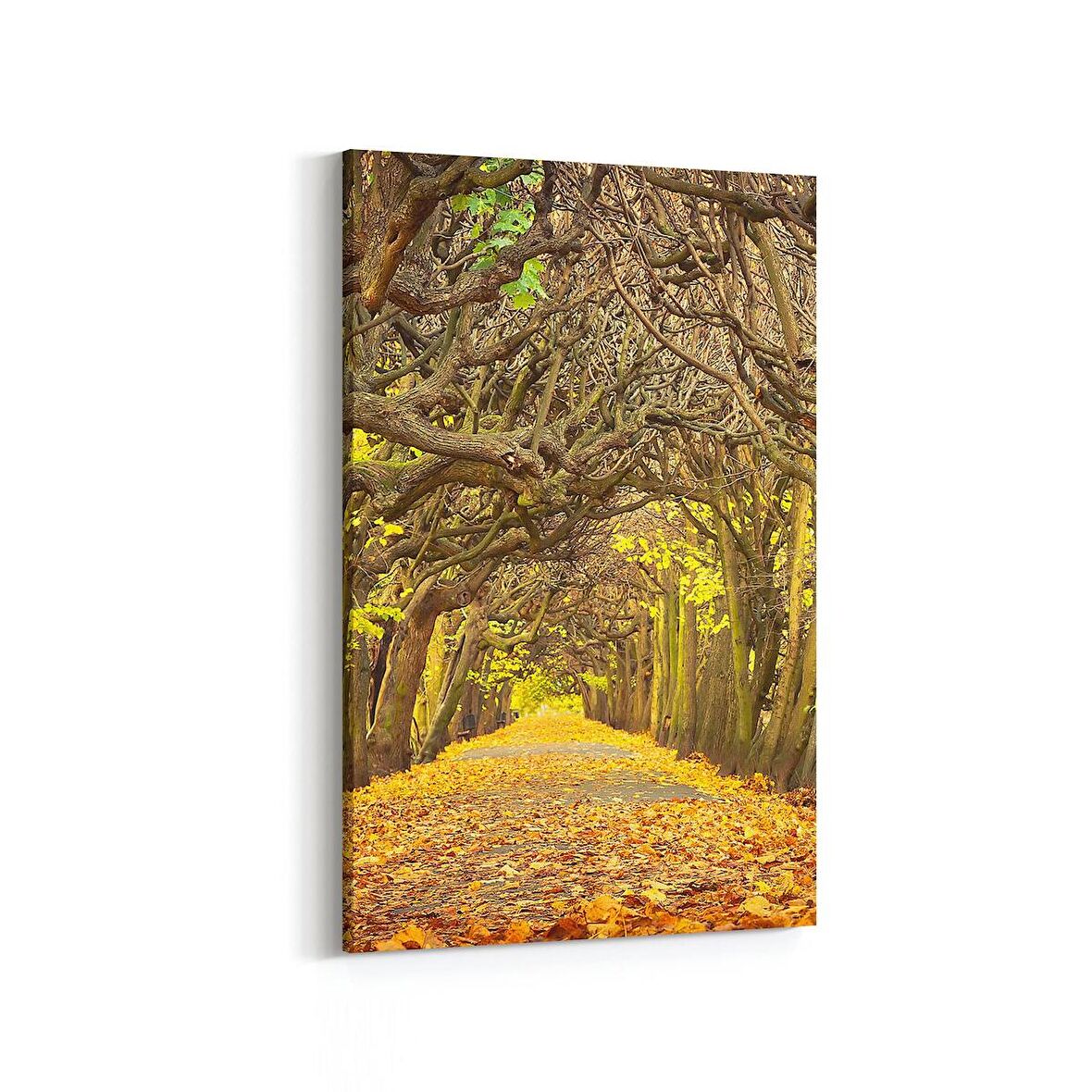 Olla 13366D Doğa / Manzara Görseli Dikey Kanvas Tablo (Ölçü: 100X150)