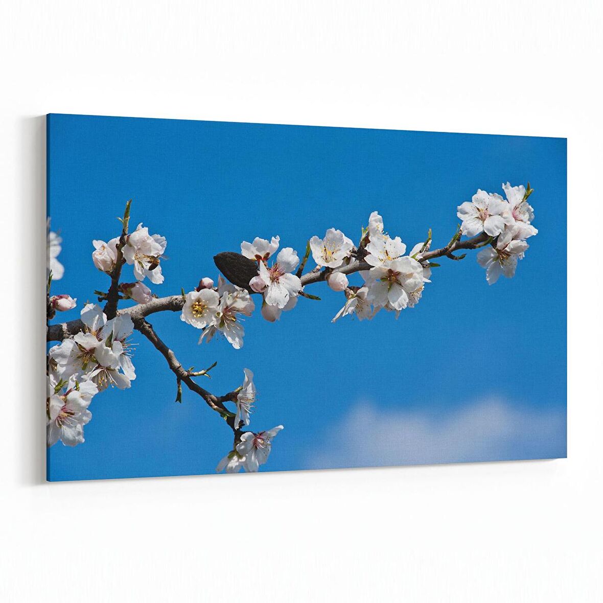 Olla 11052Y Ağaç Görseli Yatay Kanvas Tablo (Ölçü: 150X100)