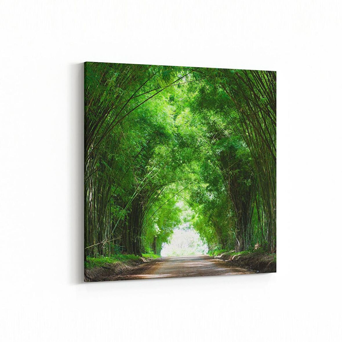 Olla 14092K Doğa / Manzara Görseli Kare Kanvas Tablo (Ölçü: 25X25)