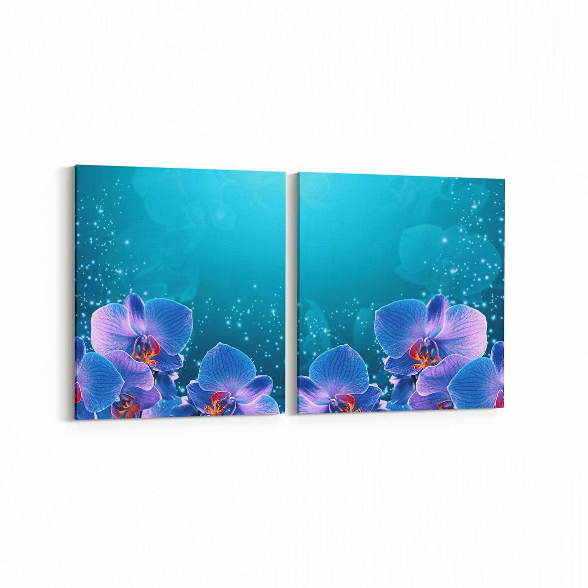 Olla 11679K2Y Orkide Çiçek Görseli 2'li Yatay Kanvas Tablo (Ölçü: 145X70)
