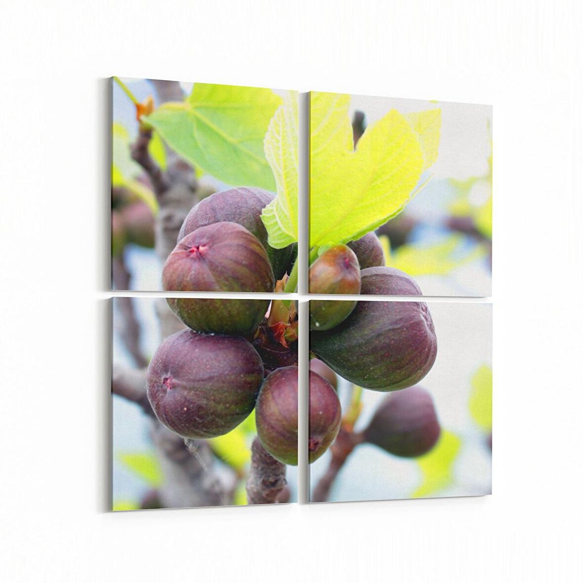 Olla 15265K4 Gıda Görseli Kare 4'lü Kanvas Tablo (Ölçü: 125X125)