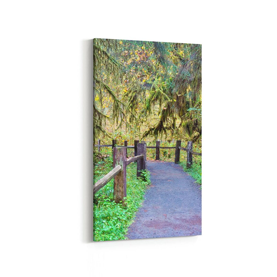 Olla 13305DD Doğa / Manzara Görseli Dikey Dar Kanvas Tablo (Ölçü: 40X80)