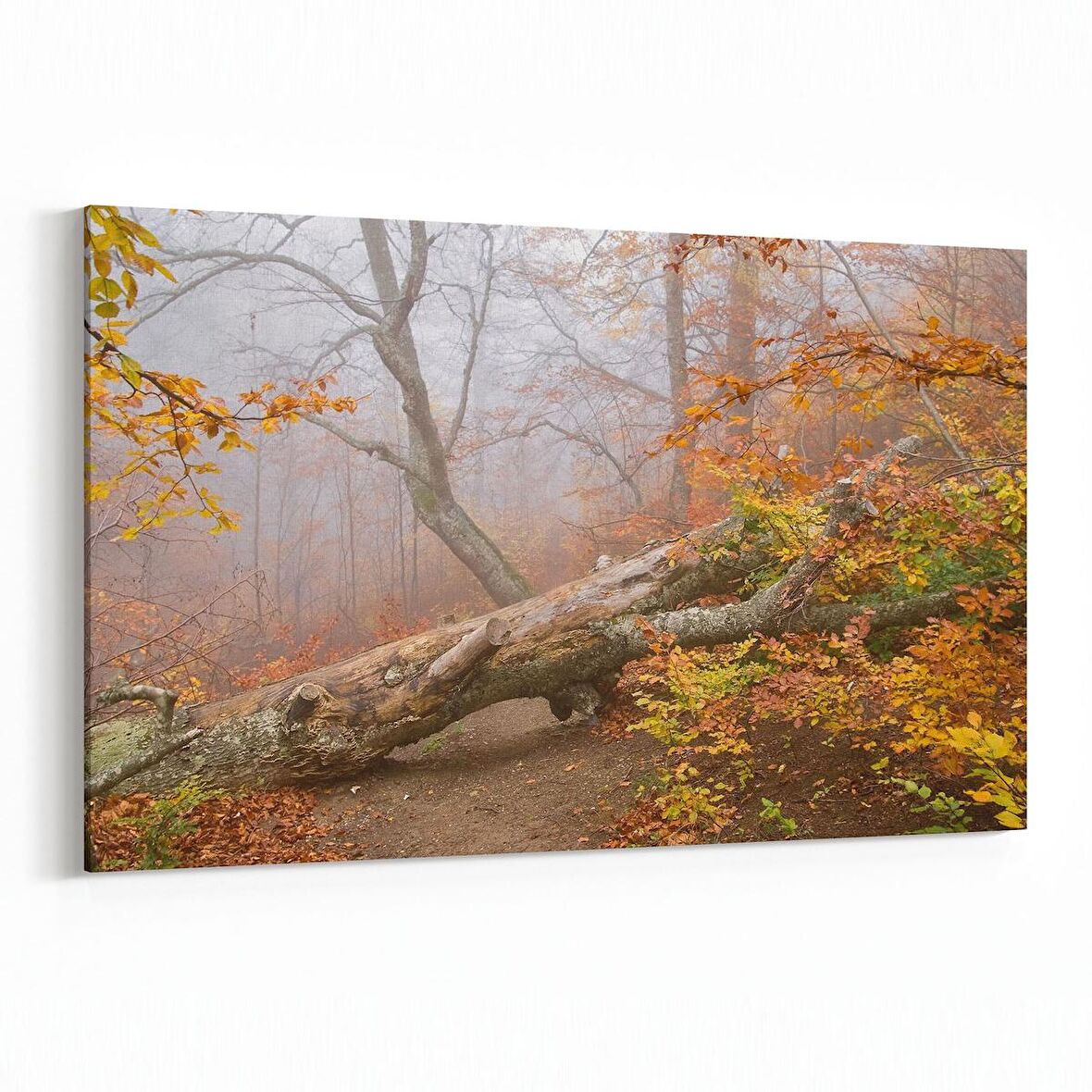 Olla 14257Y Doğa / Manzara Görseli Yatay Kanvas Tablo (Ölçü: 90X60)