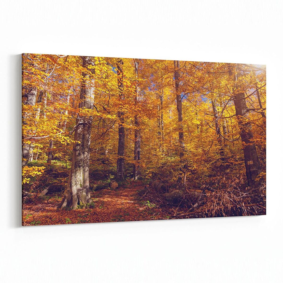 Olla 13551Y Doğa / Manzara Görseli Yatay Kanvas Tablo (Ölçü: 90X60)