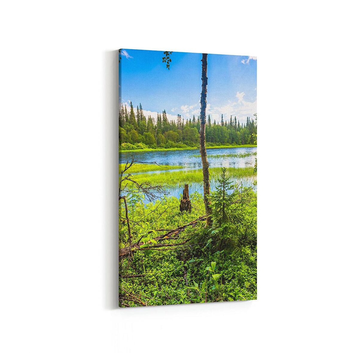 Olla 14248DD Doğa / Manzara Görseli Dikey Dar Kanvas Tablo (Ölçü: 40X80)