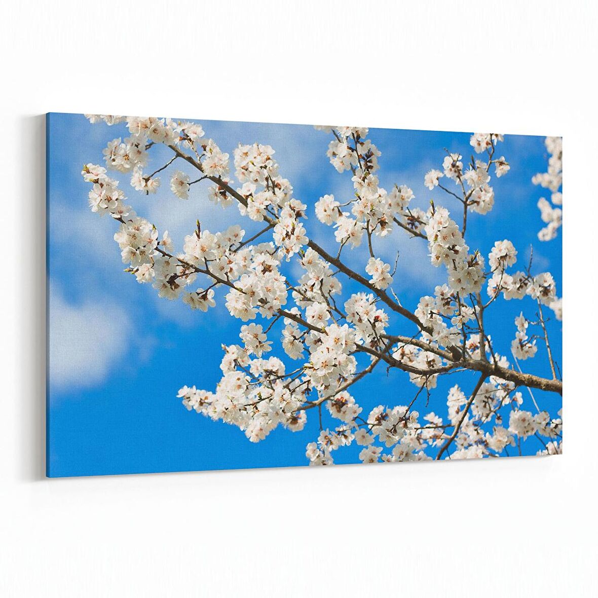 Olla 10928Y Ağaç Görseli Yatay Kanvas Tablo (Ölçü: 30X20)