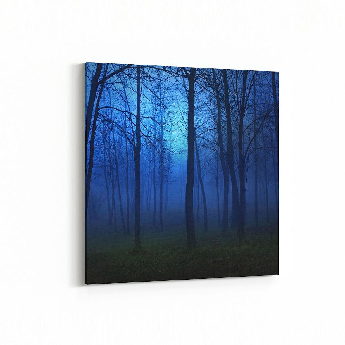 Olla 14492K Doğa / Manzara Görseli Kare Kanvas Tablo (Ölçü: 30X30)