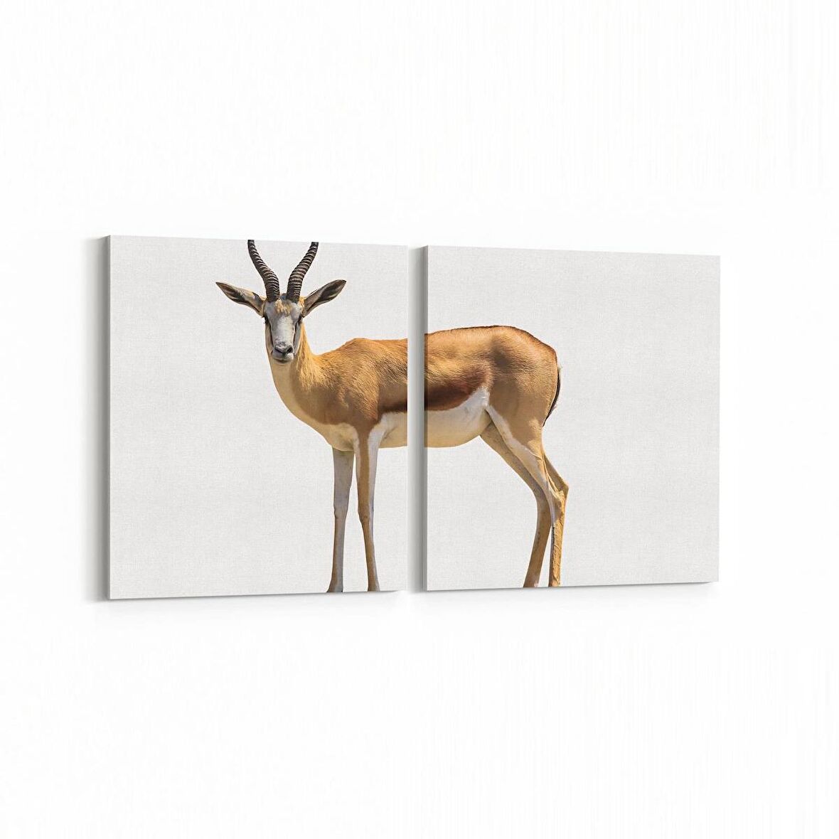 Olla 12571K2Y Hayvanlar Alemi Görseli Kare 2'li Yatay Kanvas Tablo (Ölçü: 125X60)
