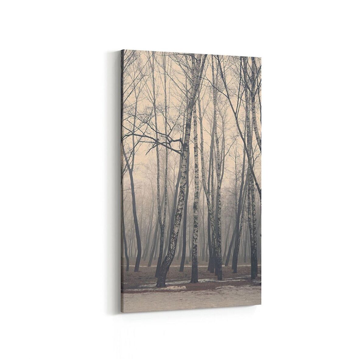 Olla 13155DD Doğa / Manzara Görseli Dikey Dar Kanvas Tablo (Ölçü: 30X60)