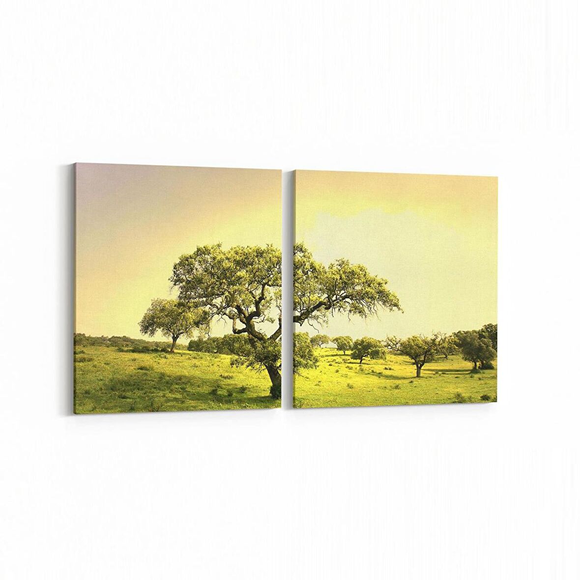 Olla 13888K2Y Doğa / Manzara Görseli Kare 2'li Yatay Kanvas Tablo (Ölçü: 85X40)
