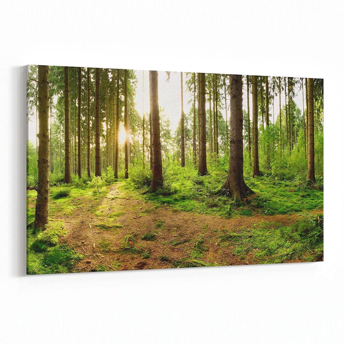 Olla 14535Y Doğa / Manzara Görseli Yatay Kanvas Tablo (Ölçü: 90X60)