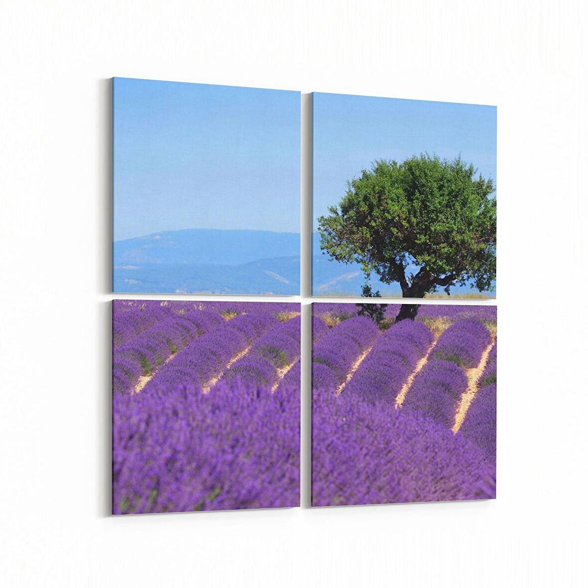 Olla 13582K4 Doğa / Manzara Görseli Kare 4'lü Kanvas Tablo (Ölçü: 145X145)