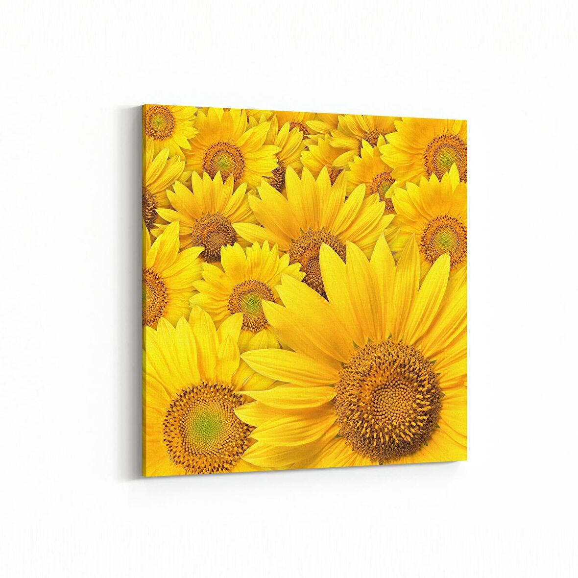 Olla 11579K Çiçek Görseli Kare Kanvas Tablo (Ölçü: 100X100)