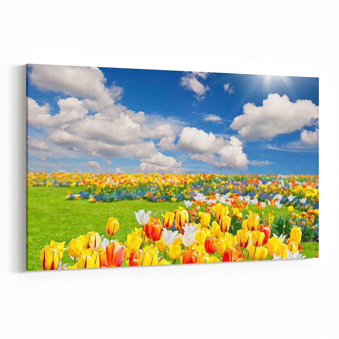 Olla 14519Y Doğa / Manzara Görseli Yatay Kanvas Tablo (Ölçü: 150X100)