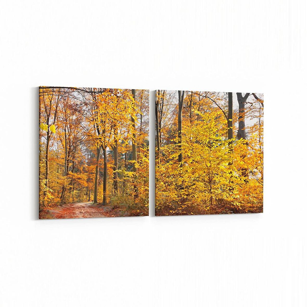 Olla 13280K2Y Doğa / Manzara Görseli Kare 2'li Yatay Kanvas Tablo (Ölçü: 105X50)