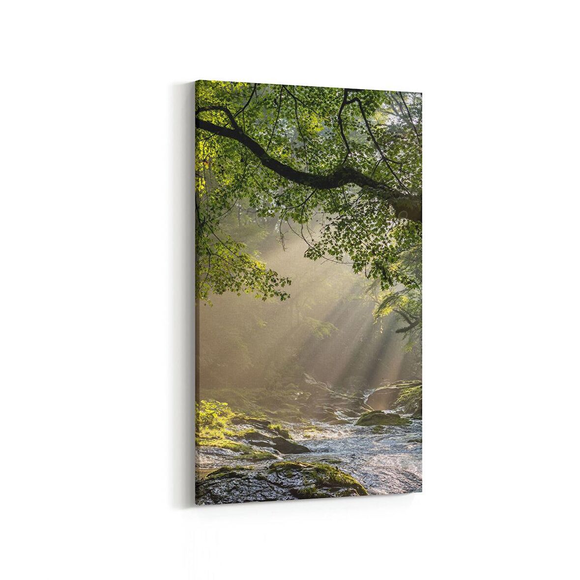 Olla 14139DD Doğa / Manzara Görseli Dikey Dar Kanvas Tablo (Ölçü: 30X60)