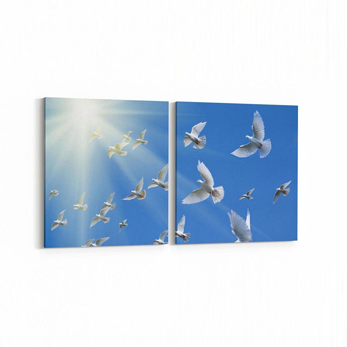 Olla 15869K2Y Gökyüzü Kuşlar Görseli Kare 2'li Yatay Kanvas Tablo (Ölçü: 65X30)