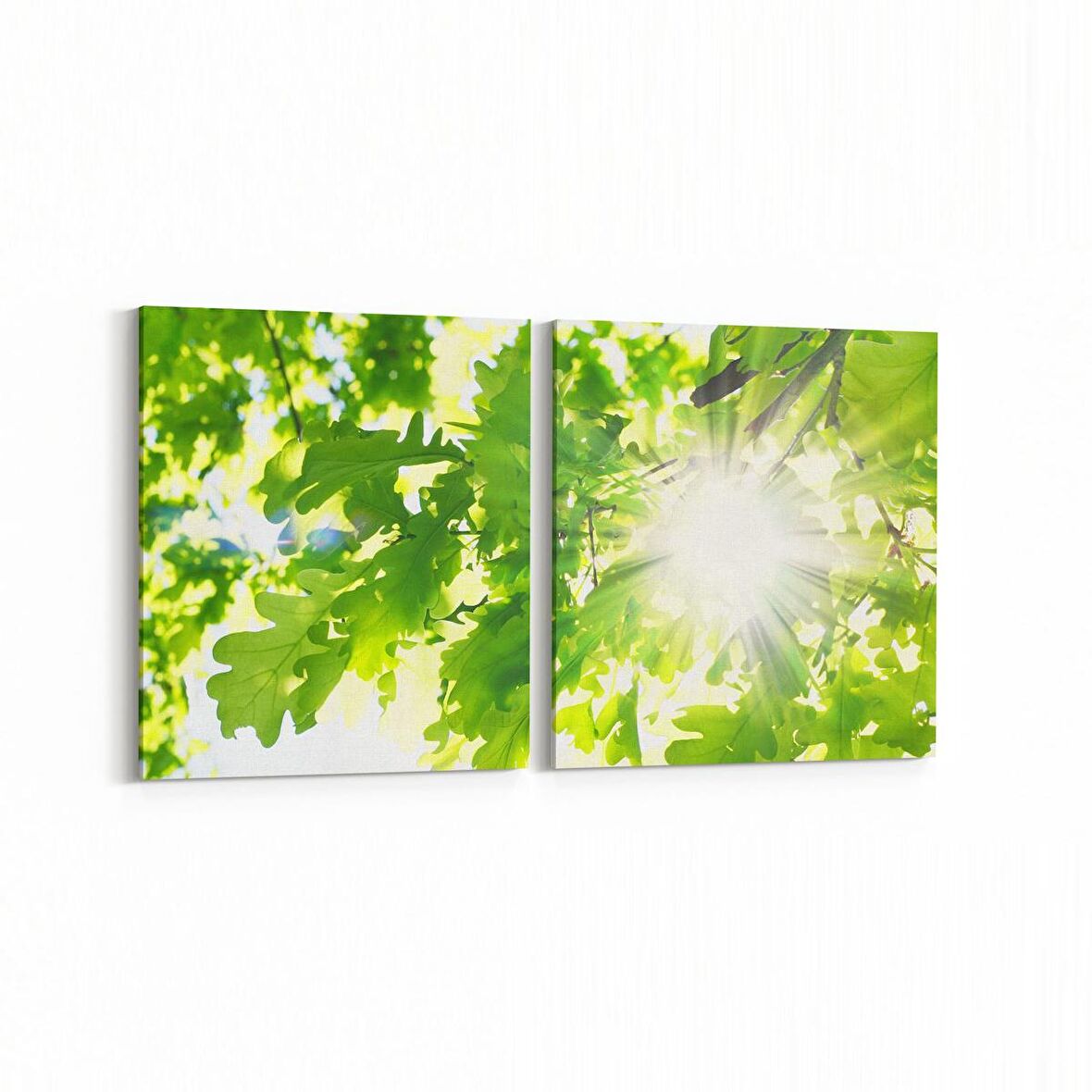 Olla 10568K2Y Ağaç Görseli Kare 2'li Yatay Kanvas Tablo (Ölçü: 105X50)