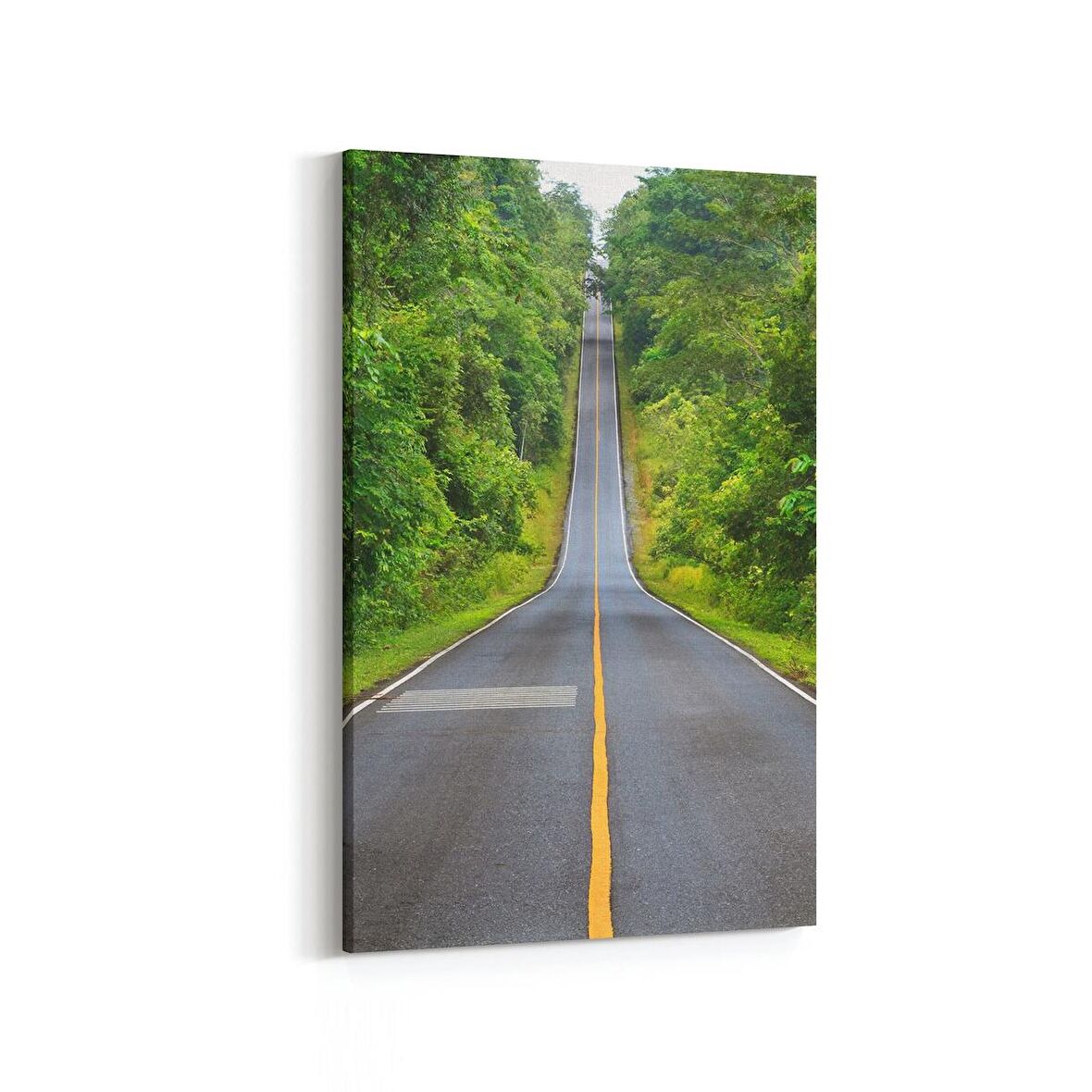 Olla 13267D Doğa / Manzara Görseli Dikey Kanvas Tablo (Ölçü: 100X150)