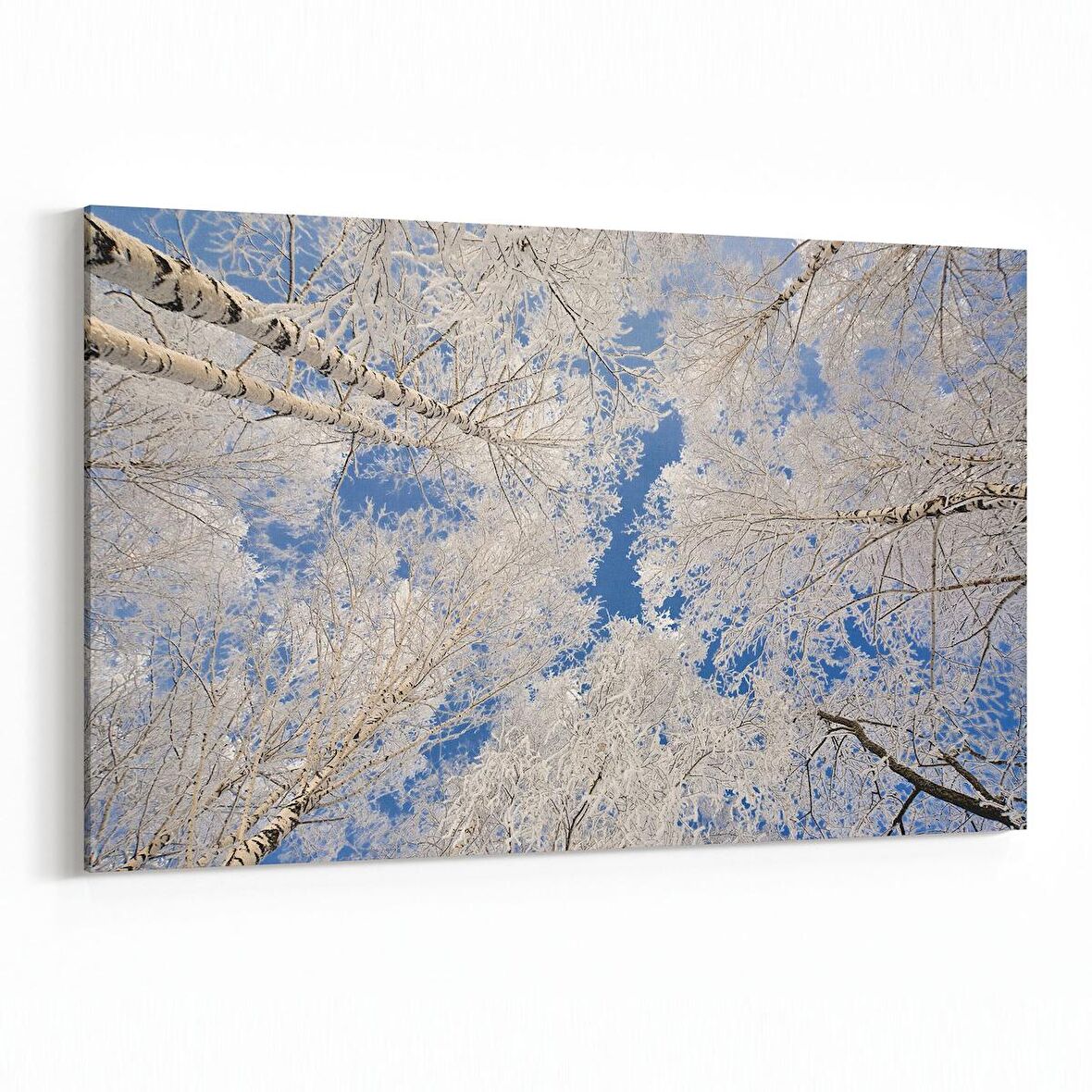 Olla 10976Y Ağaç Görseli Yatay Kanvas Tablo (Ölçü: 90X60)