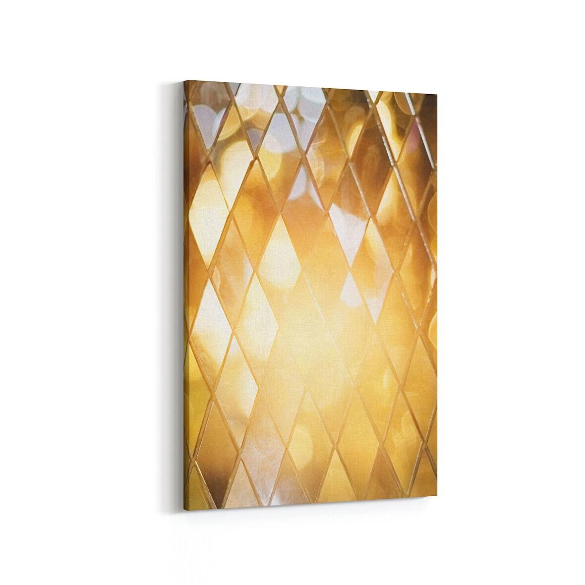 Olla 10039D Abstract 3 Boyut Görsel Dikey Kanvas Tablo (Ölçü: 20X30)