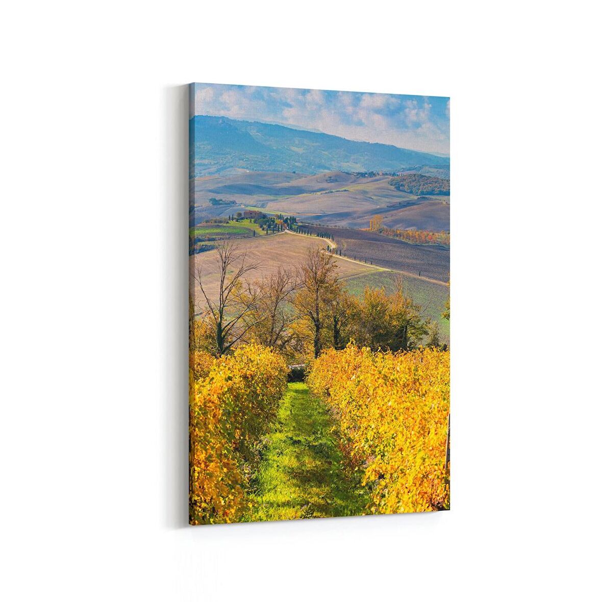 Olla 14170D Doğa / Manzara Görseli Dikey Kanvas Tablo (Ölçü: 40X60)