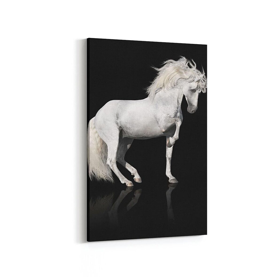 Olla 12672D Hayvanlar Alemi Görseli Dikey Kanvas Tablo (Ölçü: 20X30)