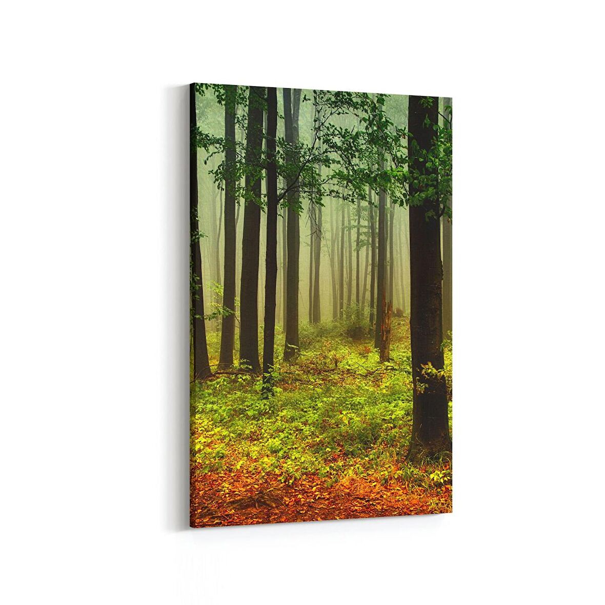 Olla 13271D Doğa / Manzara Görseli Dikey Kanvas Tablo (Ölçü: 100X150)