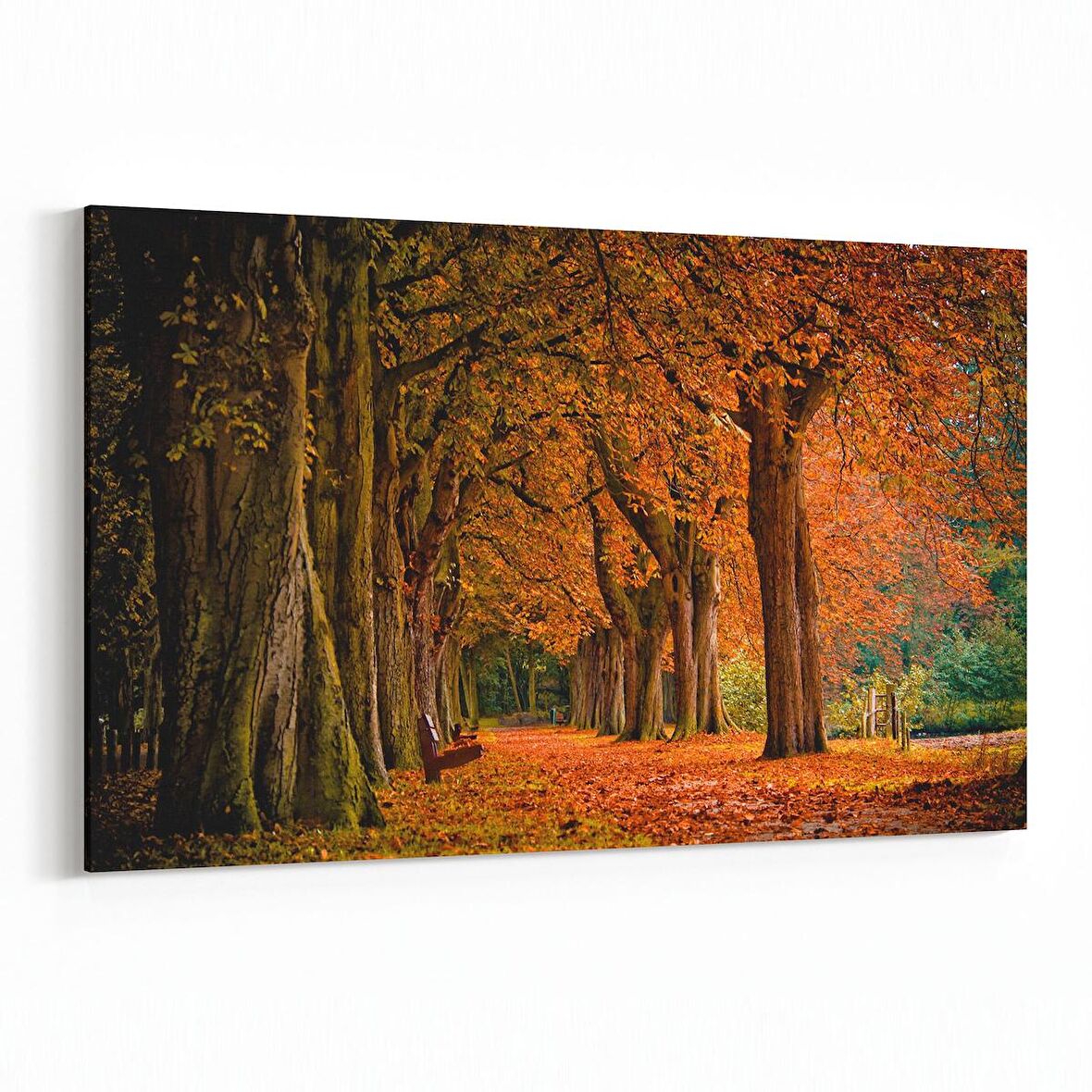 Olla 13607Y Doğa / Manzara Görseli Yatay Kanvas Tablo (Ölçü: 30X20)