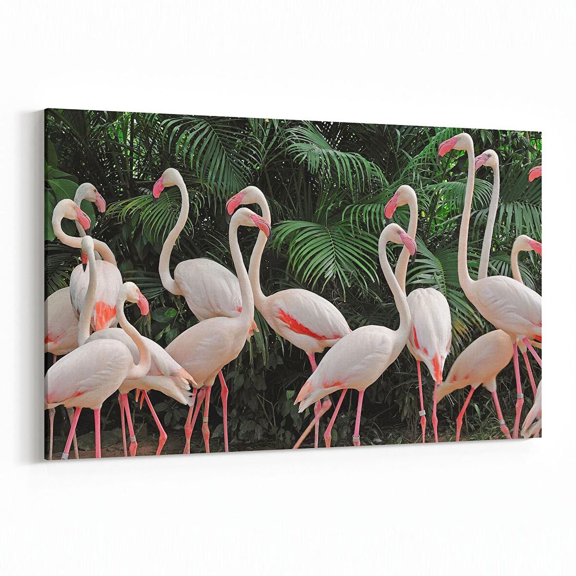 Olla 12541Y Hayvanlar Alemi Görseli Yatay Kanvas Tablo (Ölçü: 30X20)