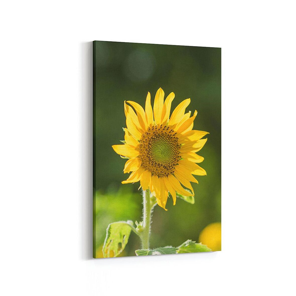 Olla 10796D Ağaç Görseli Dikey Kanvas Tablo (Ölçü: 100X150)