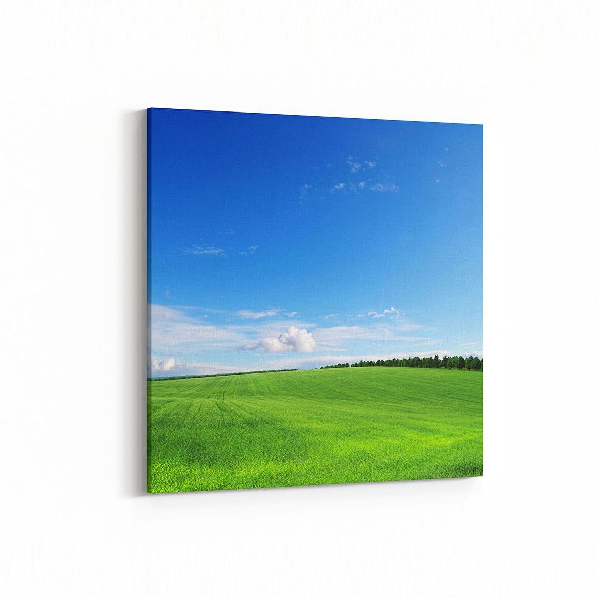 Olla 13291K Doğa / Manzara Görseli Kare Kanvas Tablo (Ölçü: 30X30)