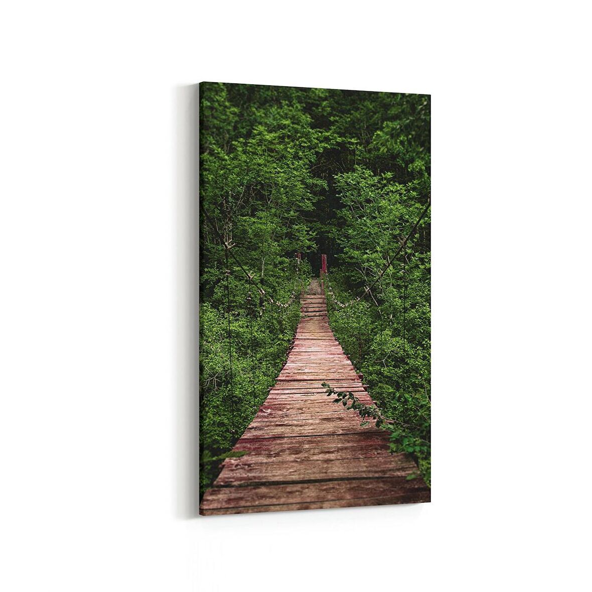 Olla 13862DD Doğa / Manzara Görseli Dikey Dar Kanvas Tablo (Ölçü: 40X80)