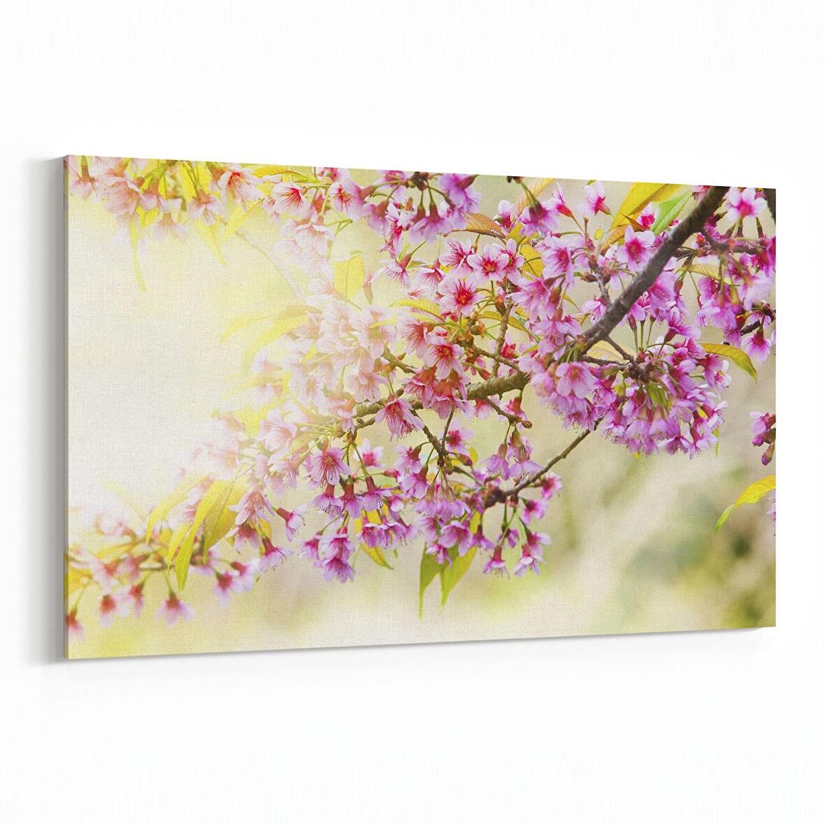 Olla 10551Y Ağaç Görseli Yatay Kanvas Tablo (Ölçü: 30X20)